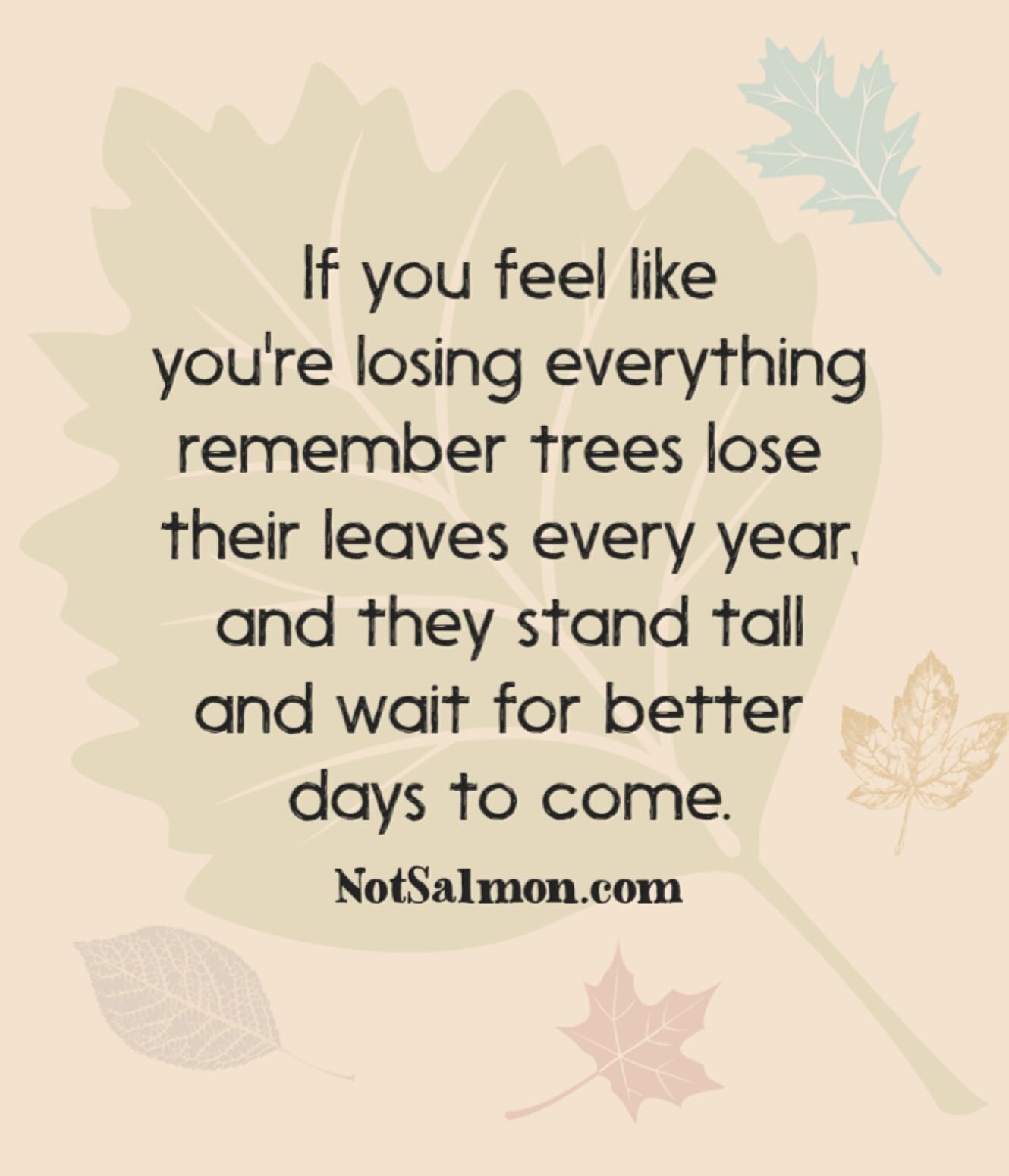 If you feel like you're losing everything remember trees lose their leaves every year, and they stand tall and wait for better days to come.