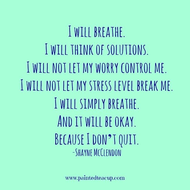  I will breathe. I will think of solutions. I will not let my worry control me. I will not let my stress level break me. I will simply breathe. And it will be okay. Because I don't quit. - Shayne McClendon 