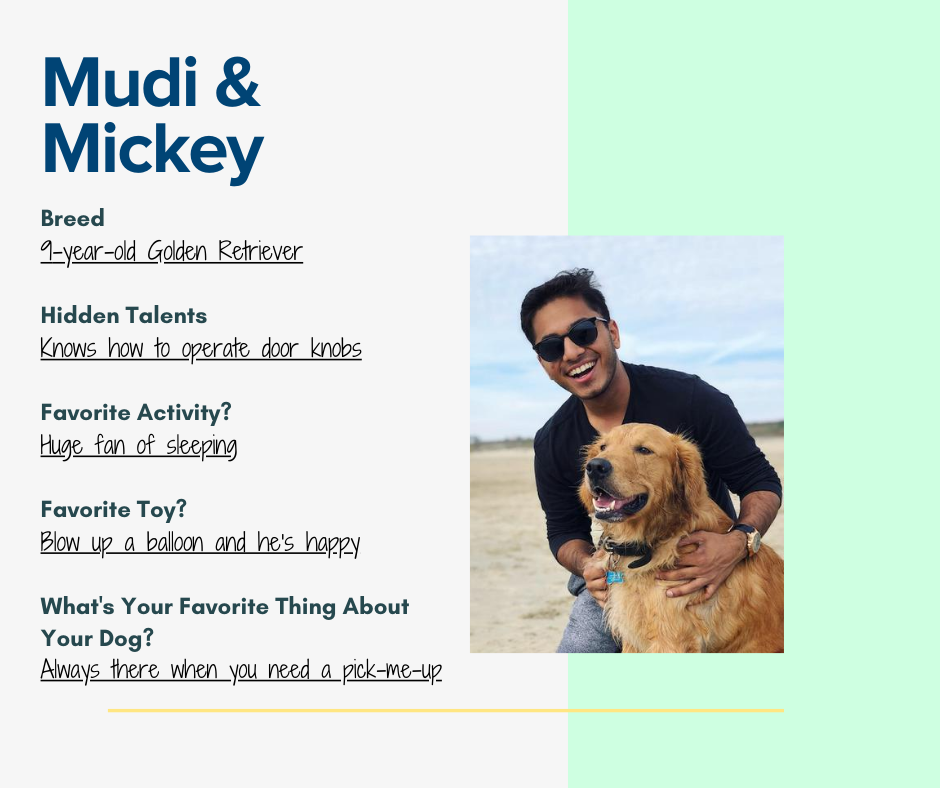 Meet the Dogs of Mixbook — Mixbook Inspiration