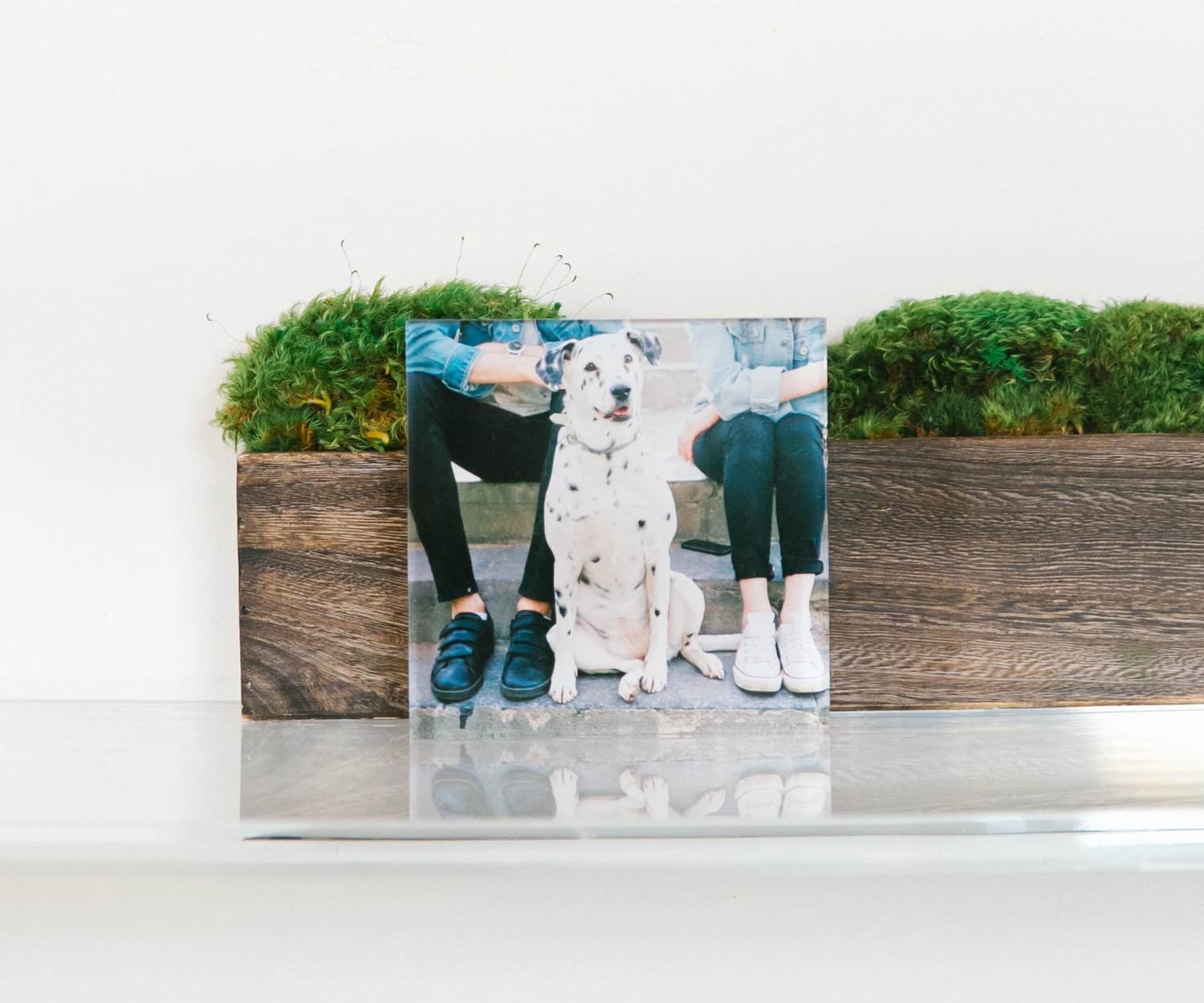 How to Create a Memory Table at Your Wedding — Mixbook Inspiration