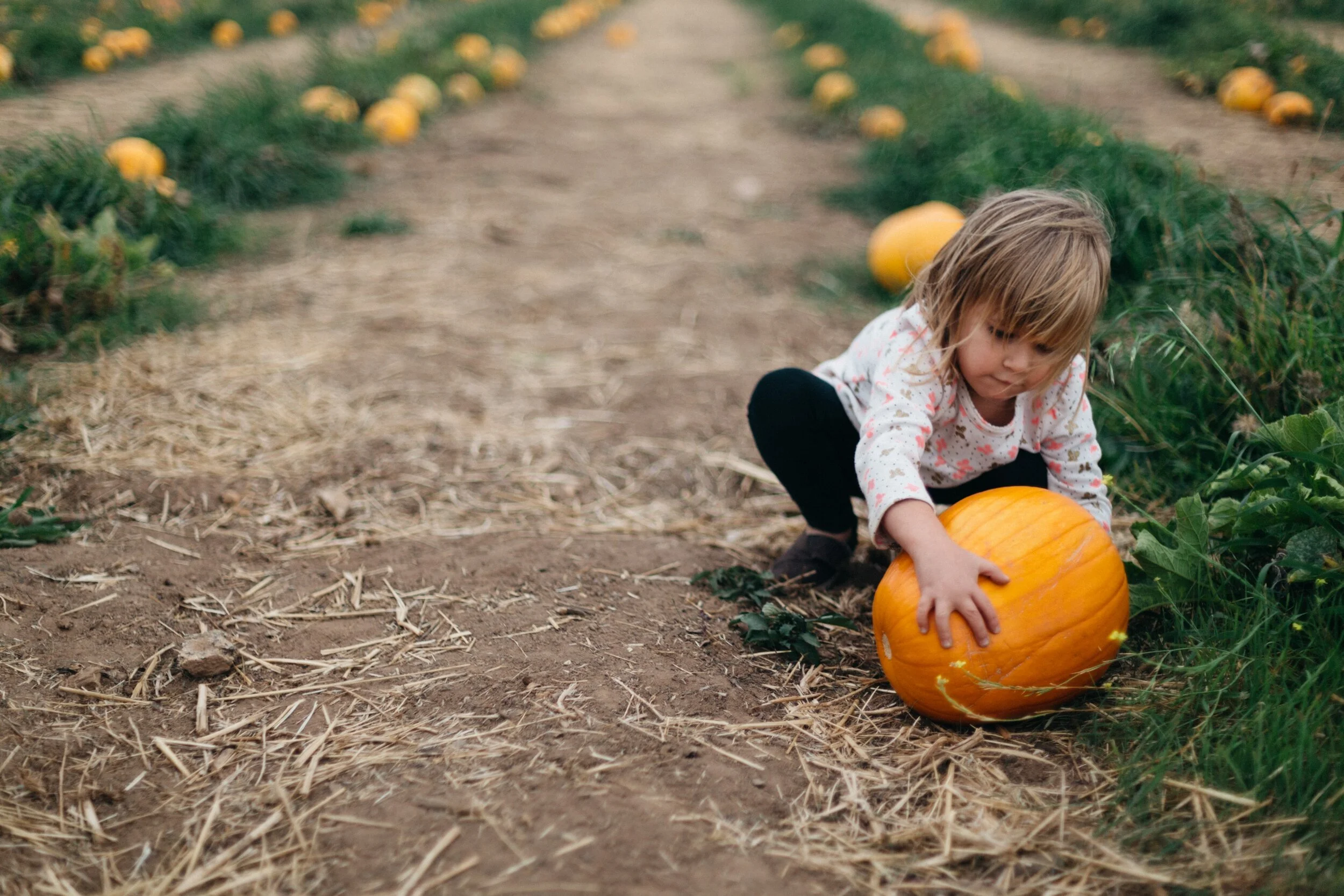 5 Fall Photo Book Layout Ideas — Mixbook Inspiration