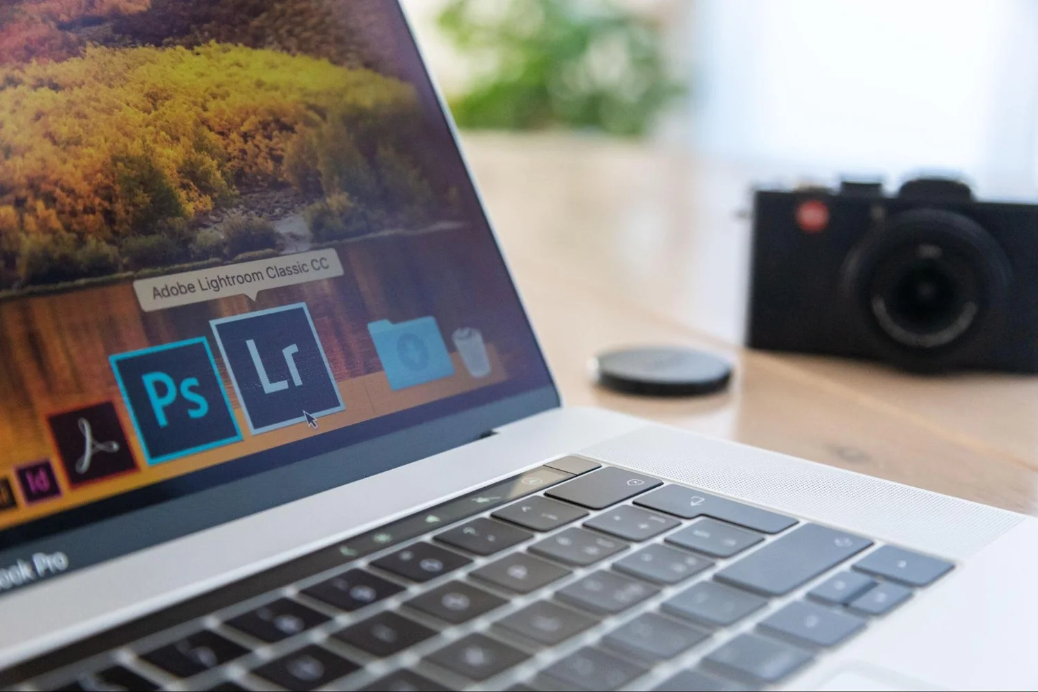 How To Organize Wedding Photos How To Organize Wedding Photos