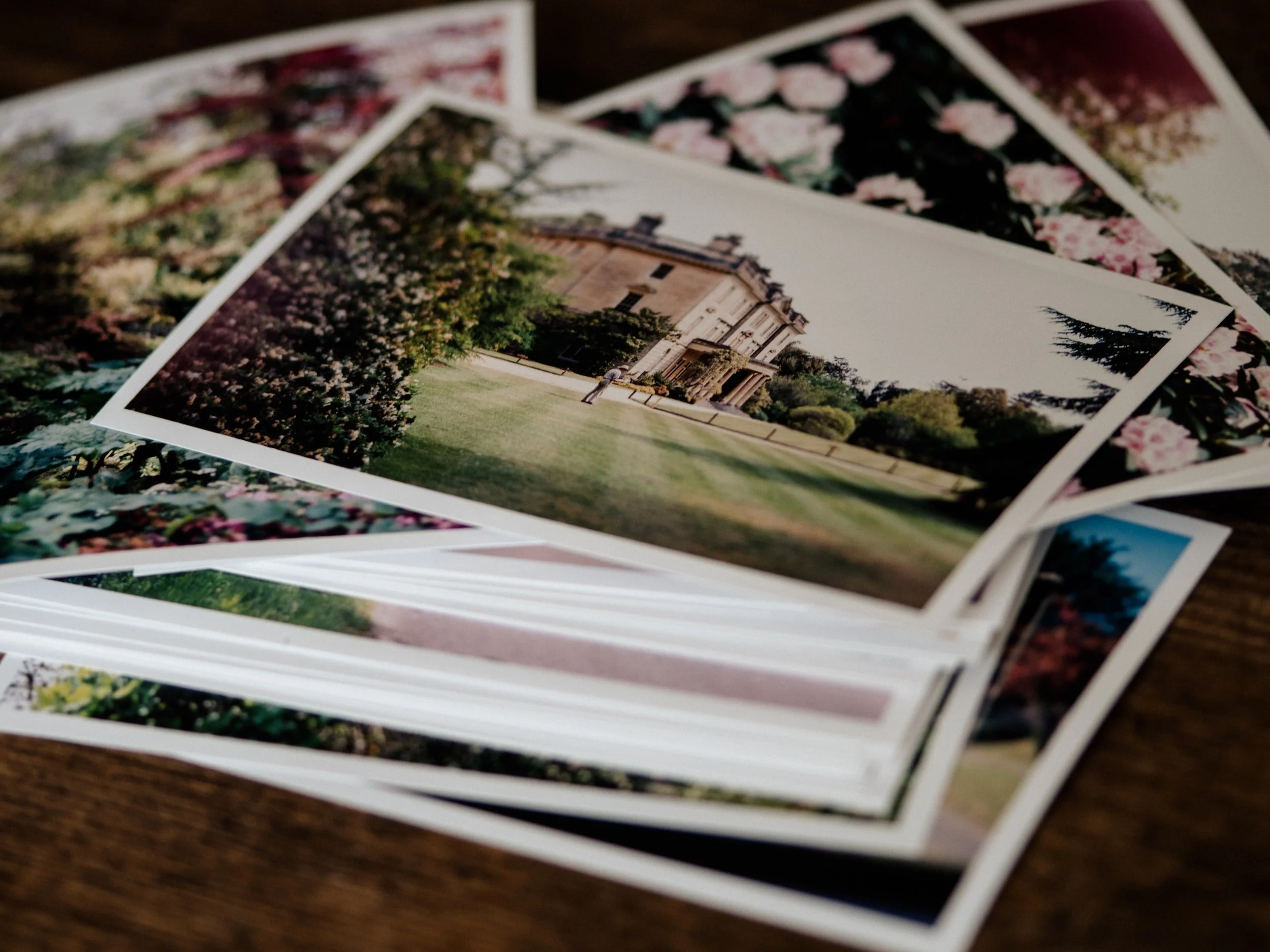 How to Organize a Wedding Album: 3 Tips to Make Your Photo Curation ...
