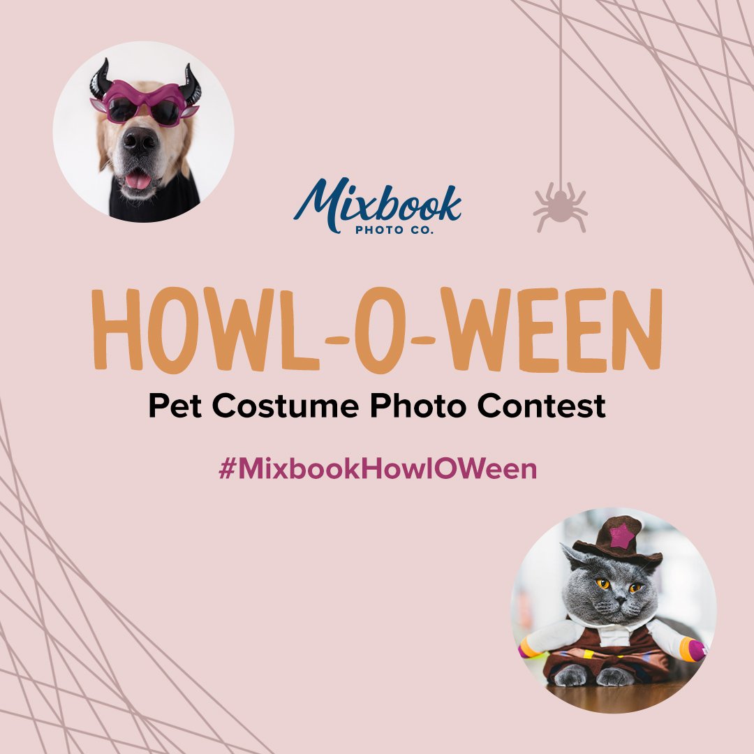 Best Pet Costume and Photoshoot Ideas — Mixbook Inspiration