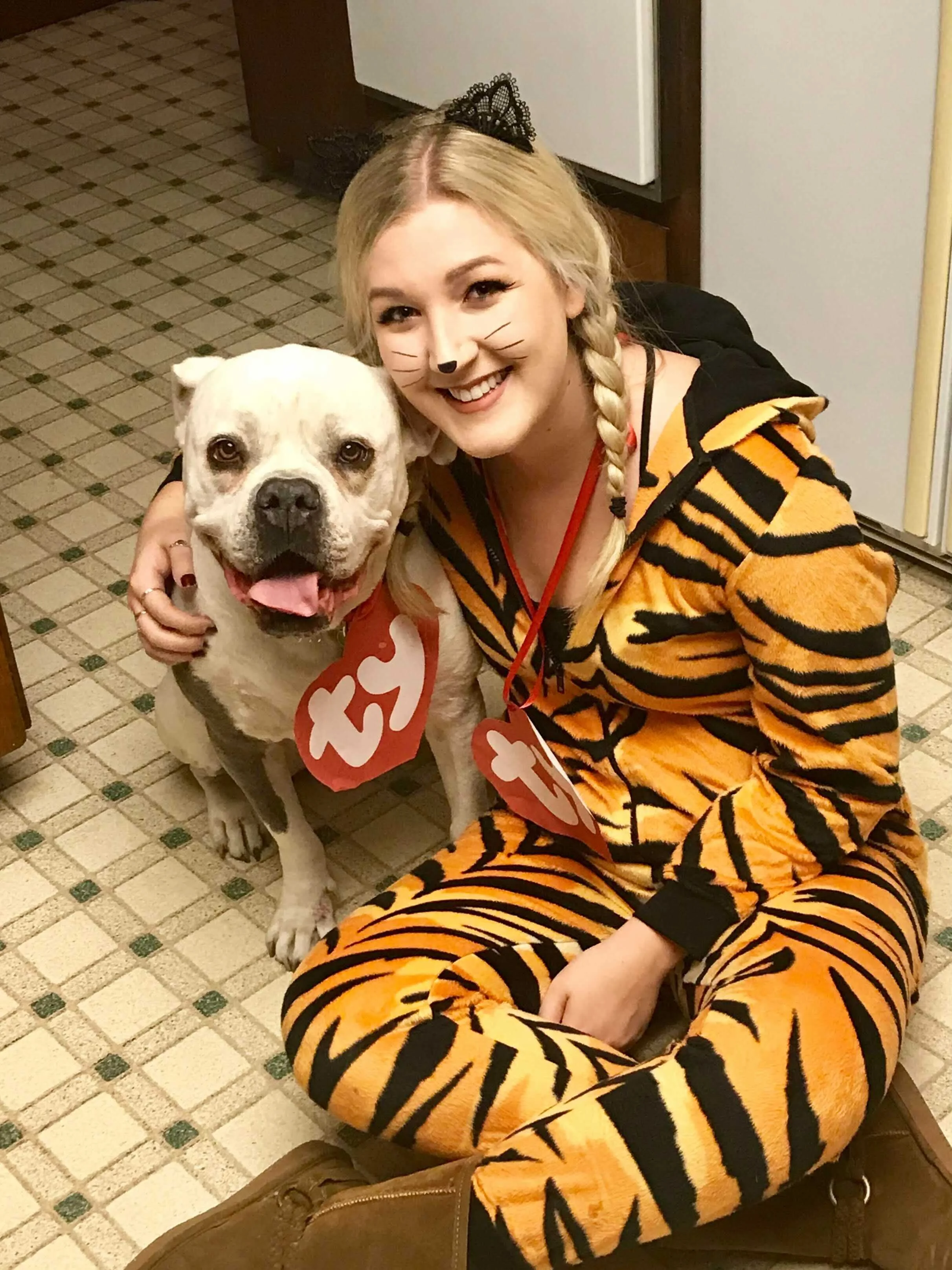 Best Pet Costume and Photoshoot Ideas — Mixbook Inspiration