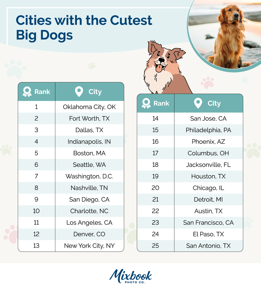 Cities With The Most Dogs