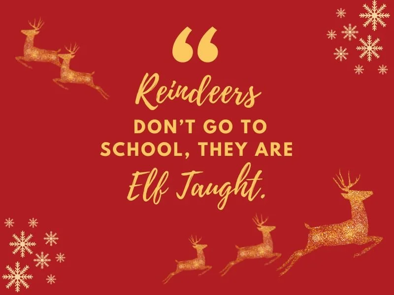 90+ Hilarious Christmas Puns It’s the Most Punderful Time of the Year!