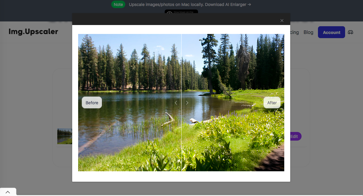 Testing AI Image Upscalers: Your Essential Guide to Scalers — Mixbook ...