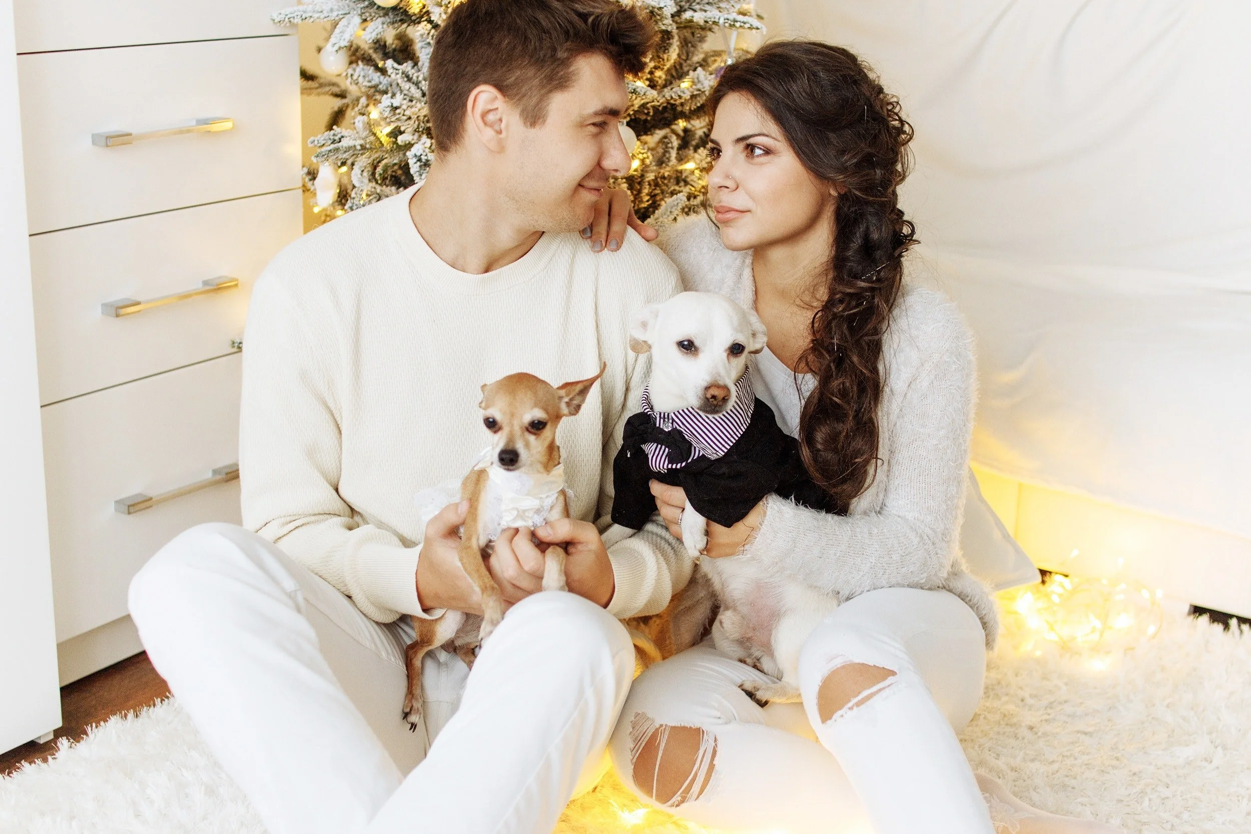 5 Cute Pet Christmas Card Ideas — Mixbook Inspiration