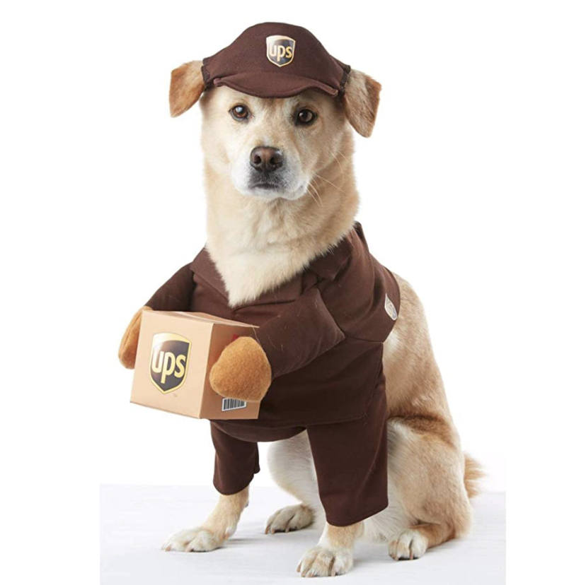 poop emoji dog costume