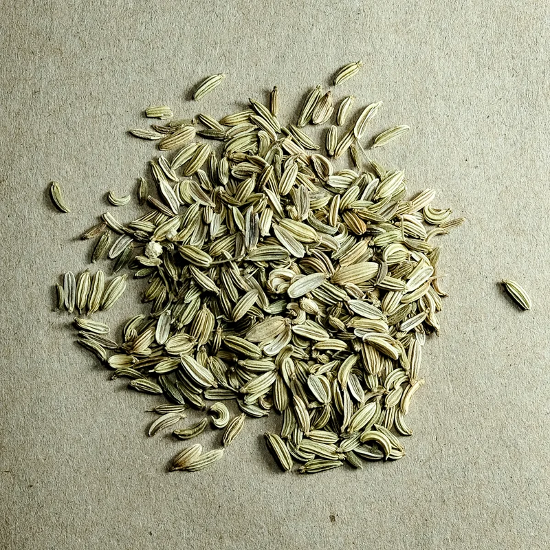 DSCF6905.jpg