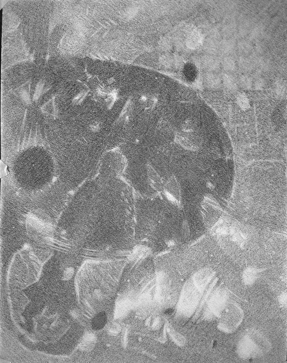 Prisoner 12, graphite on paper, 14"x 11", 2023-04