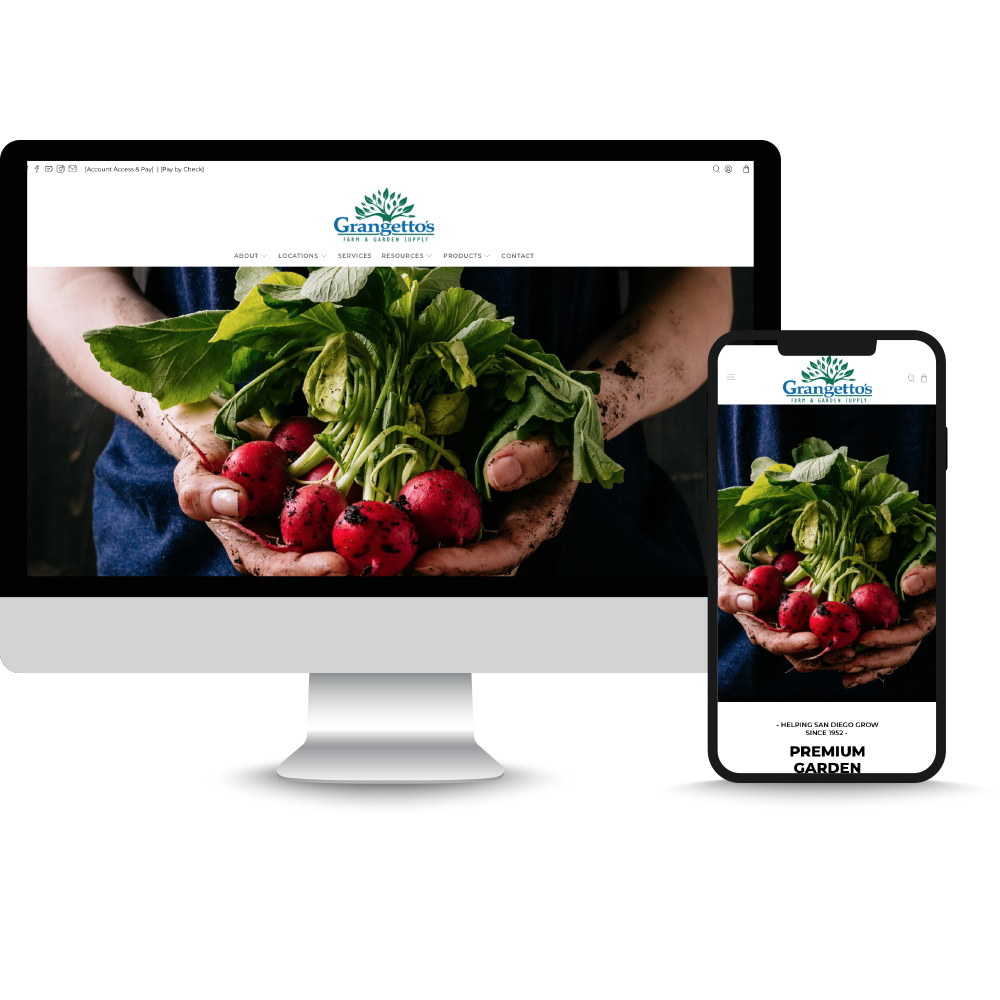 dill herb plant care