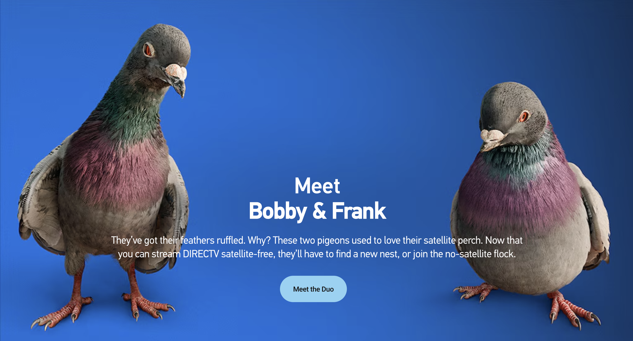 As DIRECTV shifted to satellite-free streaming, they needed to introduce the new offering to both existing and potential customers. They created a ‘For the Birds’ campaign, featuring Bobby & Frank, two pigeons displaced from their perch on top o