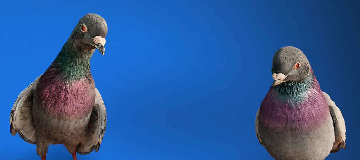 Screenshot 2024-10-03 at 12.36.41 PM.png