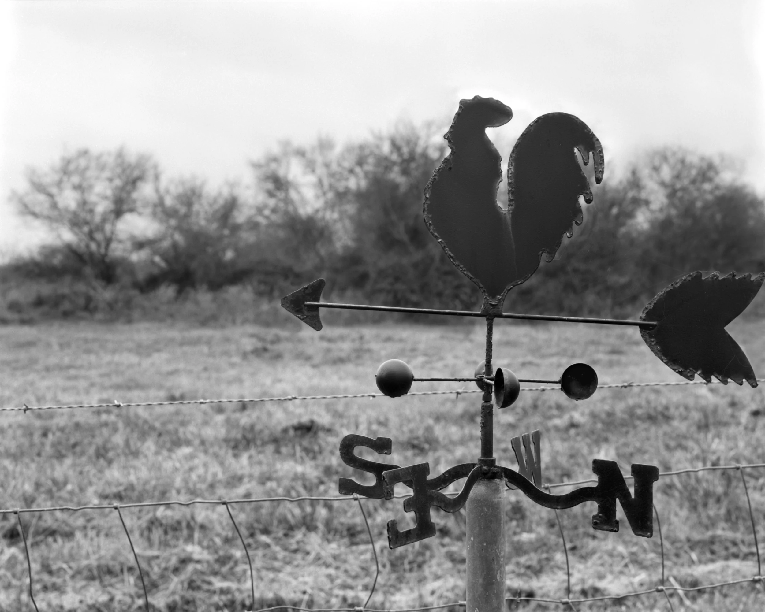 Wind Vane in the Backyard 