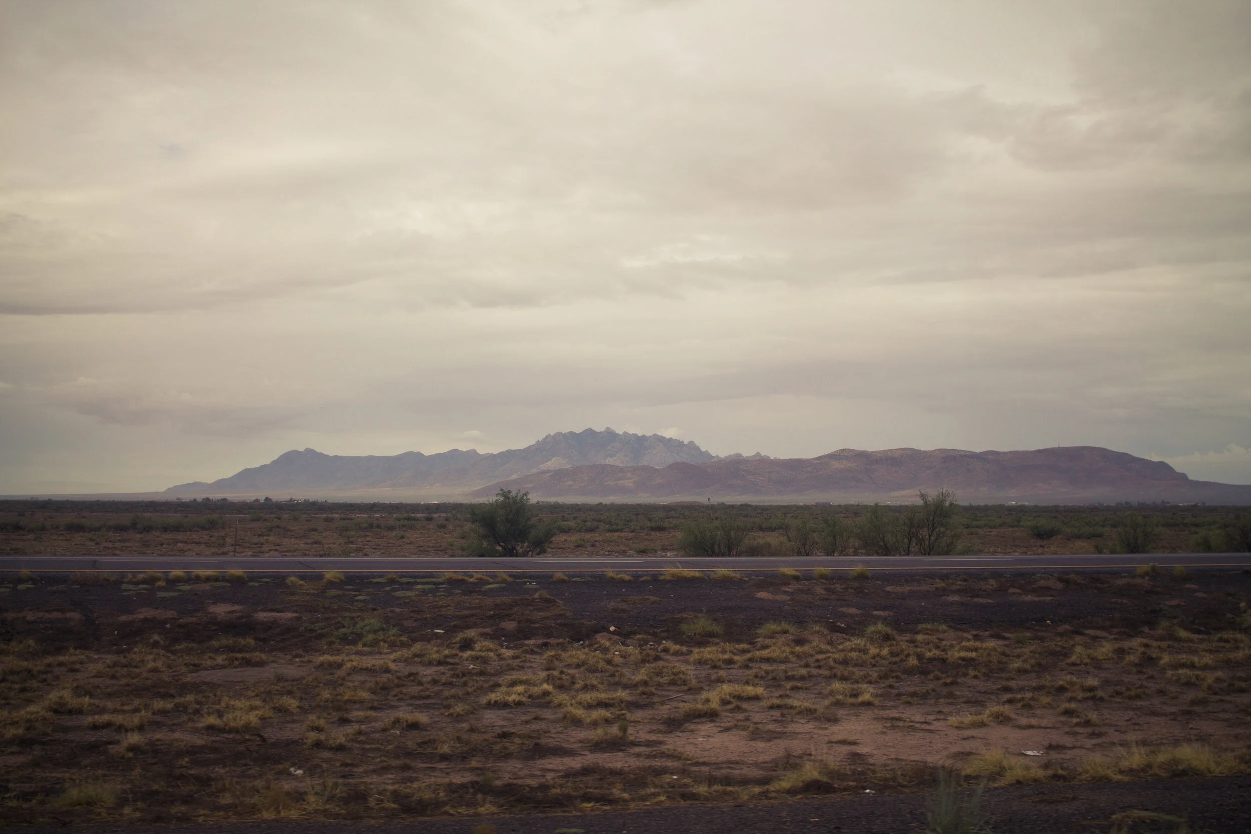 _MG_6960.jpg