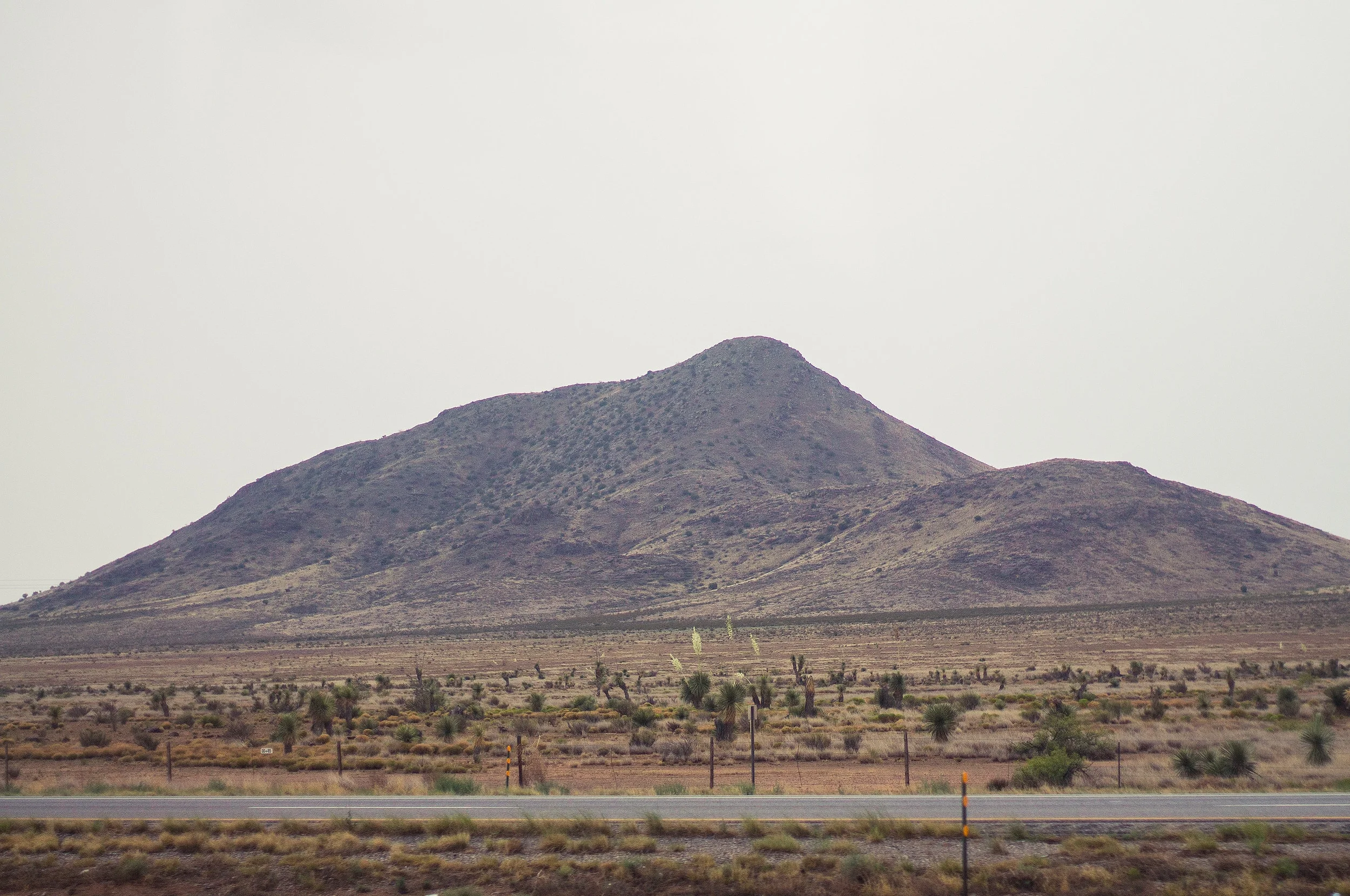 _MG_6984.jpg