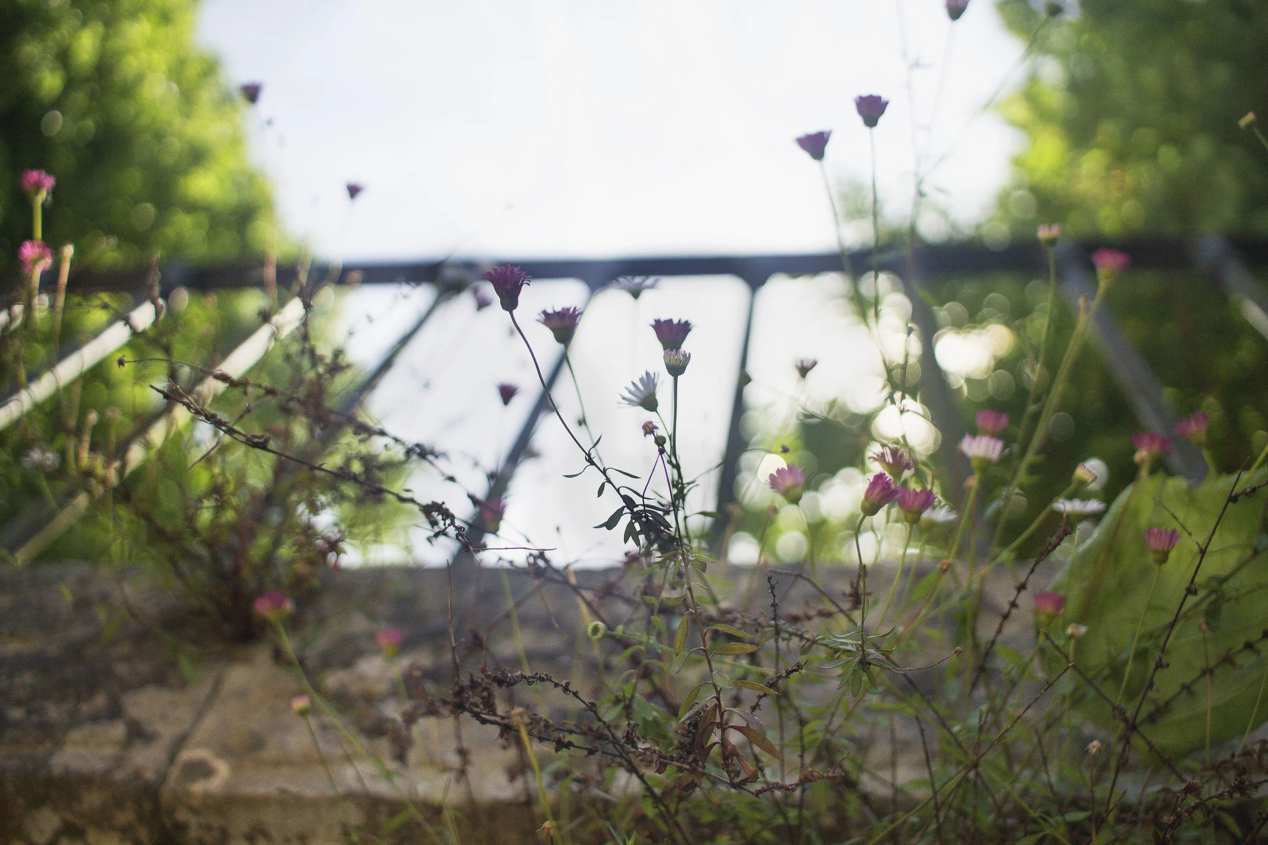 20150516-_MG_3442edit.jpg