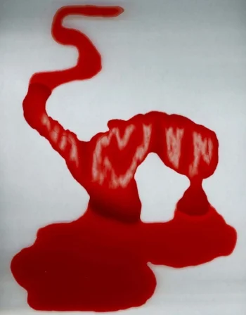 Samera Paz (Image c/o The Artist)