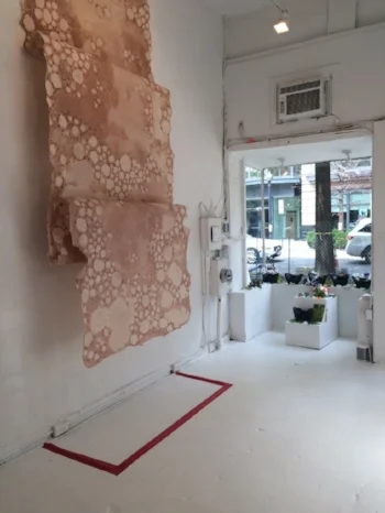 Lisa Hill (Image c/o Transformer)