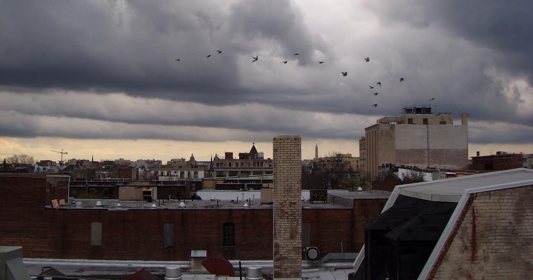 View from atop Miele’s studio on 14th street, Washington, DC