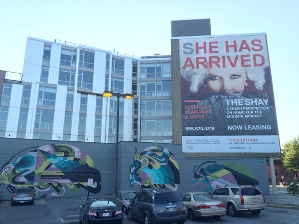 'The Shay'