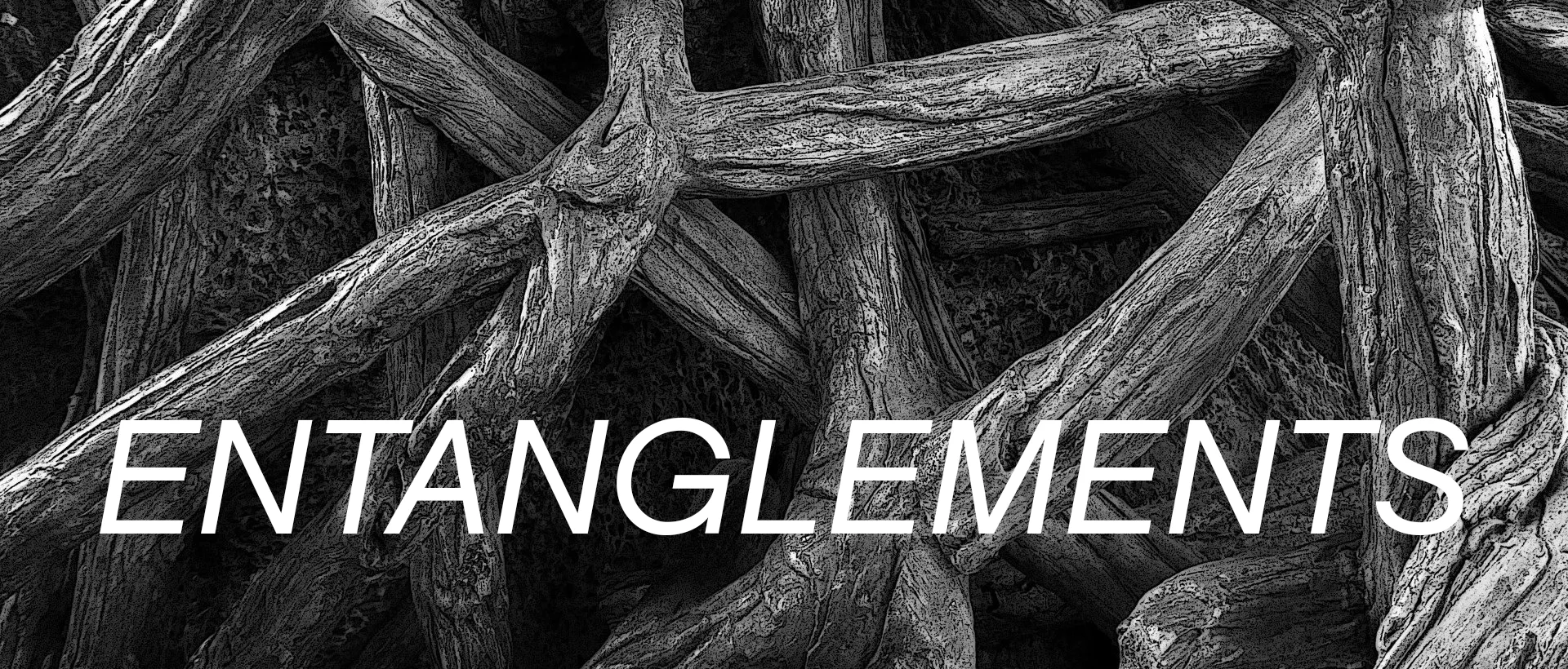 entangle1.jpg