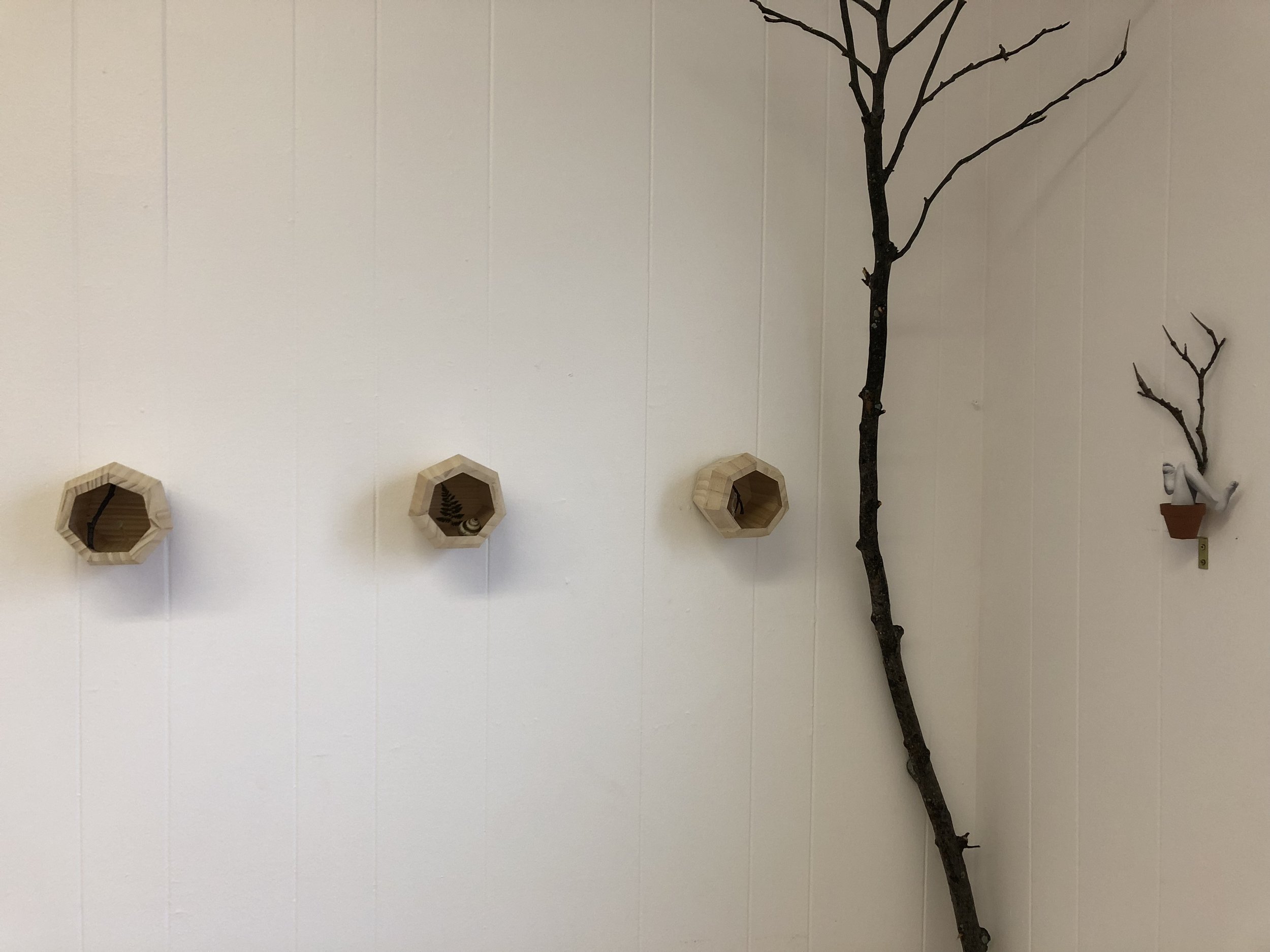 Mojdeh Rezaeipour (L): First, we must unfurl , 2018, tree branch, baby fern & seashell on wood (R): Let go; Deep Rest; Big Dreams , 2018, paper & tree branch in miniature pot & soil