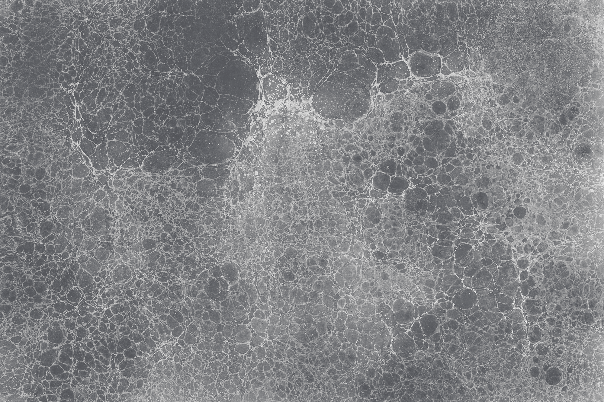 4Lunaris1_Fog_Mural_Web.gif