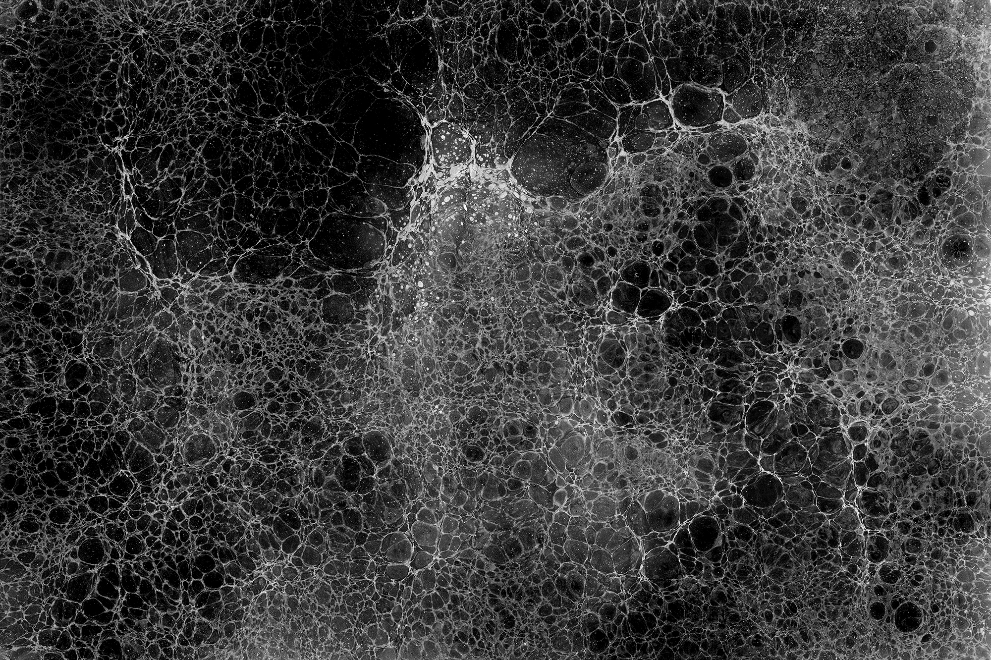 6Lunaris3_Midnight_Mural_Web.gif