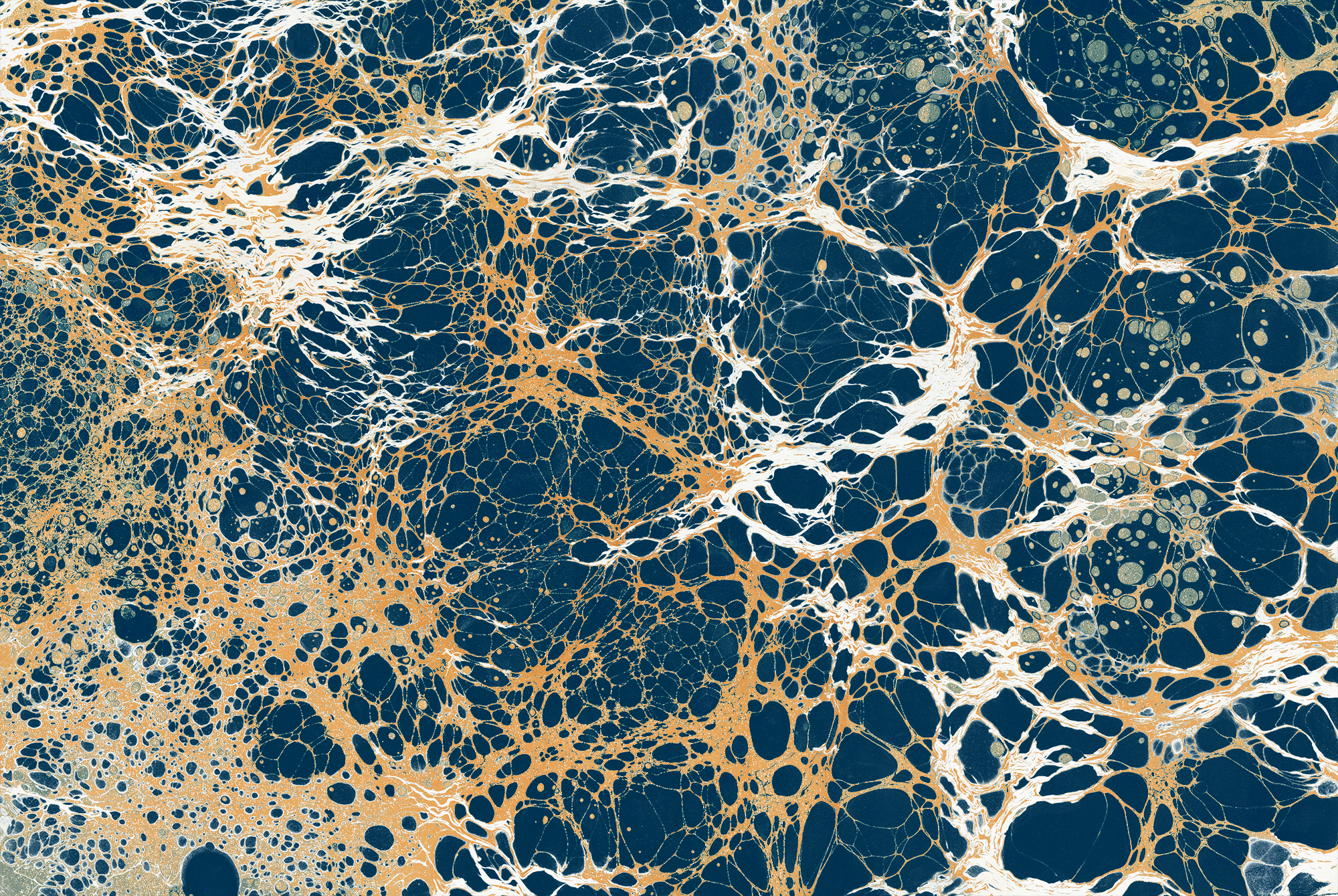 9Night3_Indigo_Web.gif