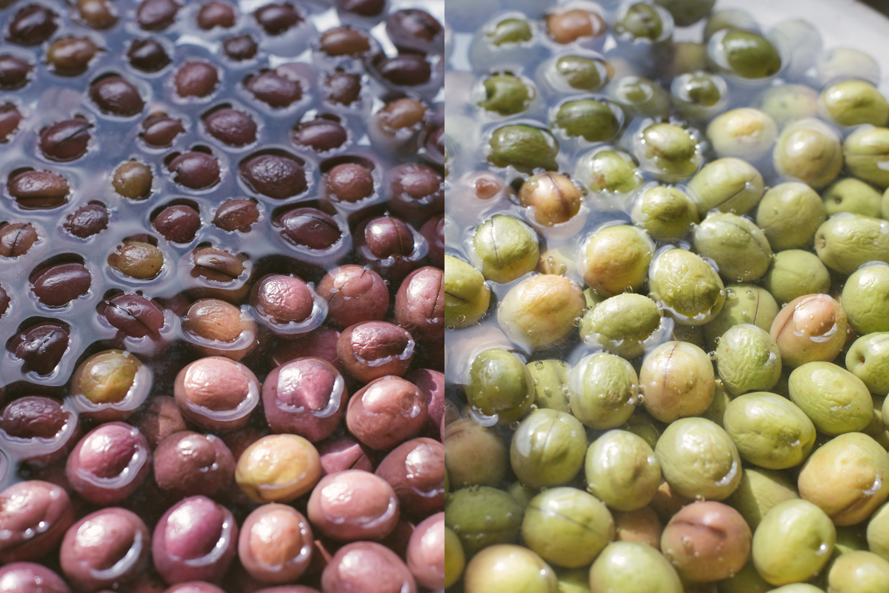 This is what the olives looked like after a week of soaking.