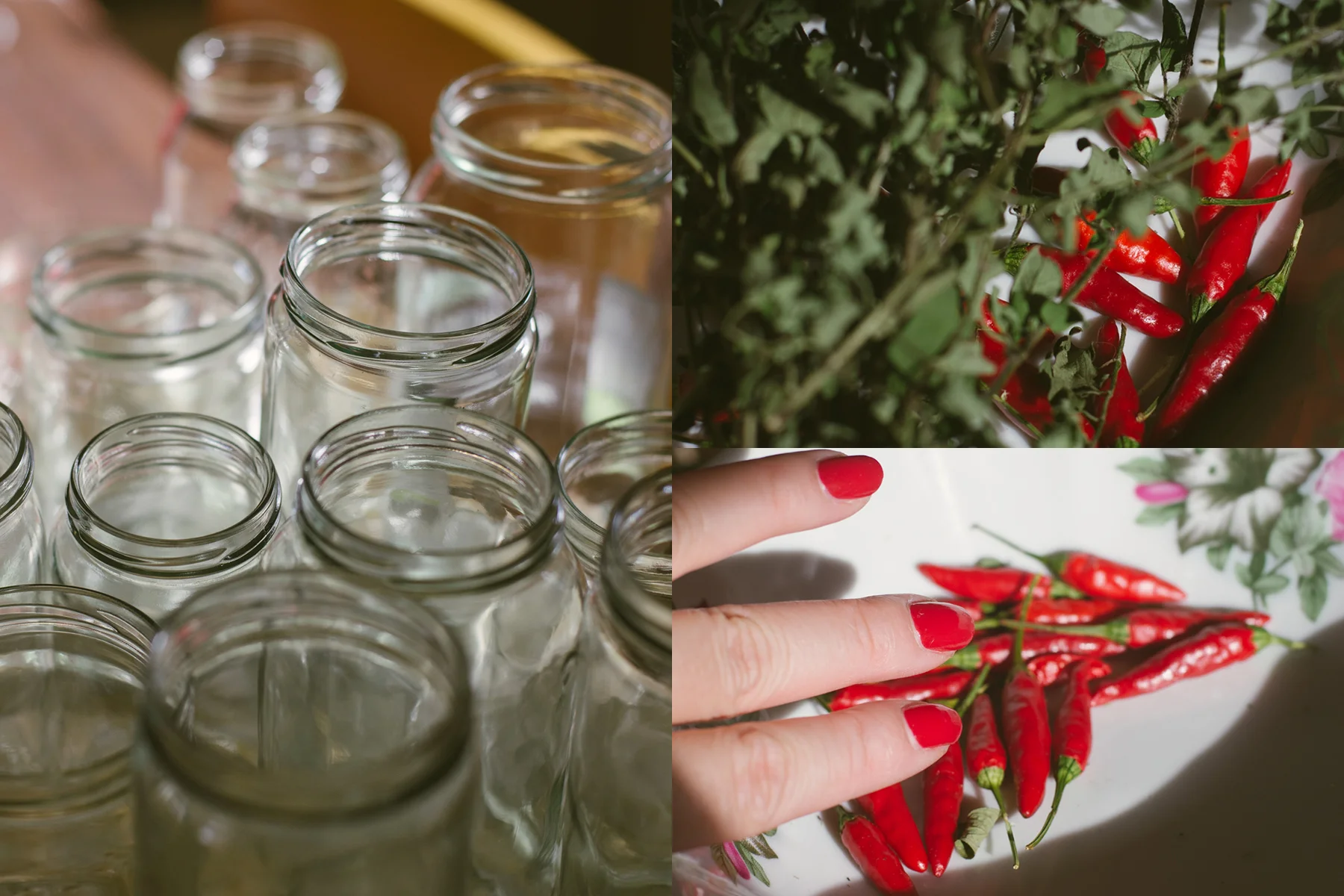Sanitised jars and our seasoning – oregano and chilli. My nails were painted an appropriate colour.