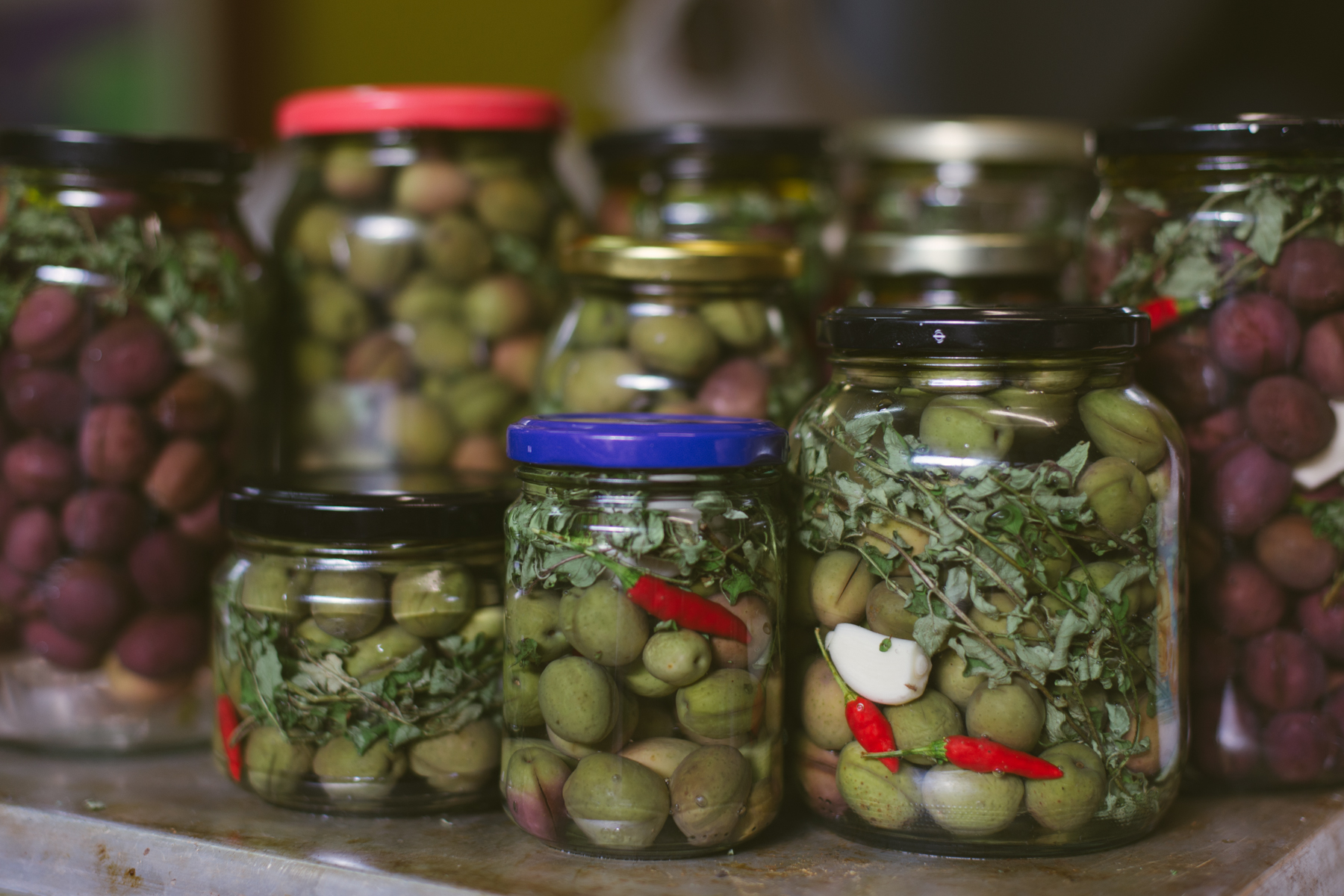Here's the family portrait. Each jar was filled with brine and then topped off with olive oil to stop air from spoiling the goods (fingers crossed).