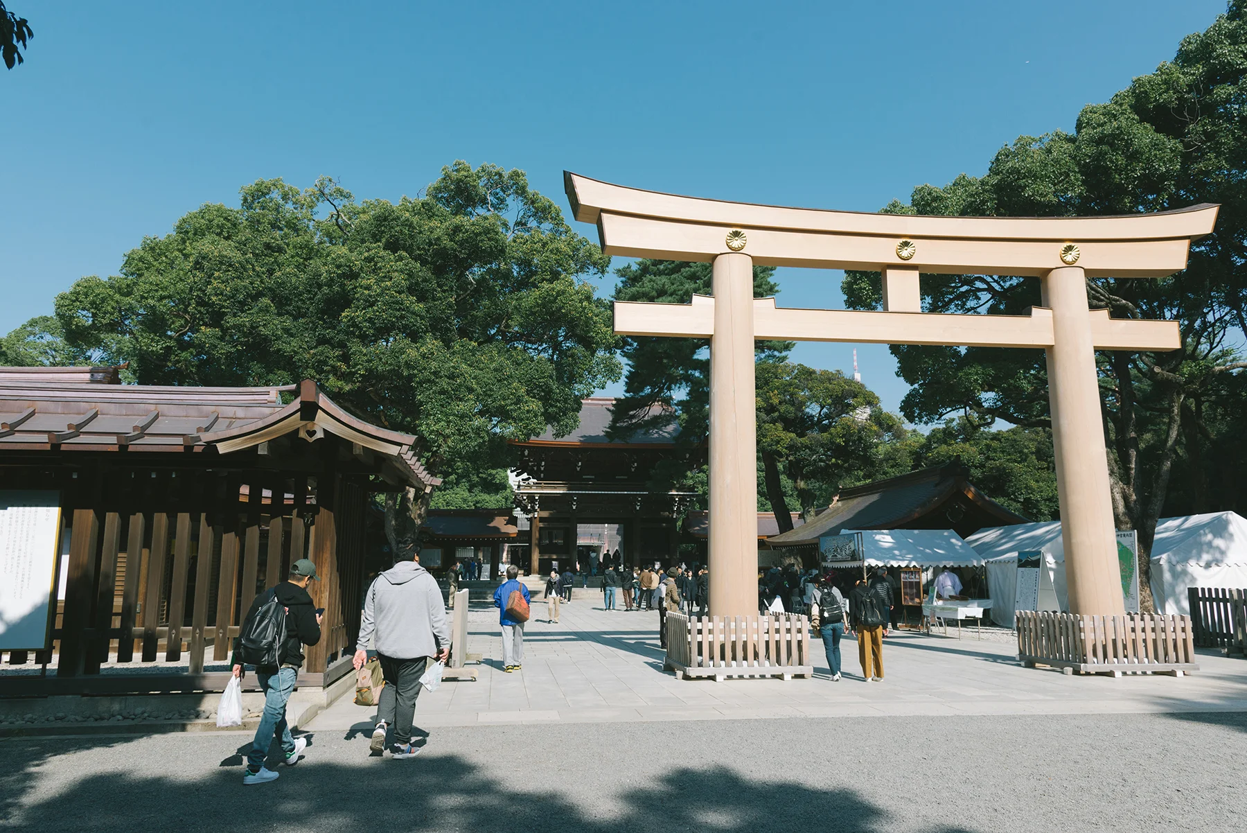 The Meiji shrine was being restored. 
