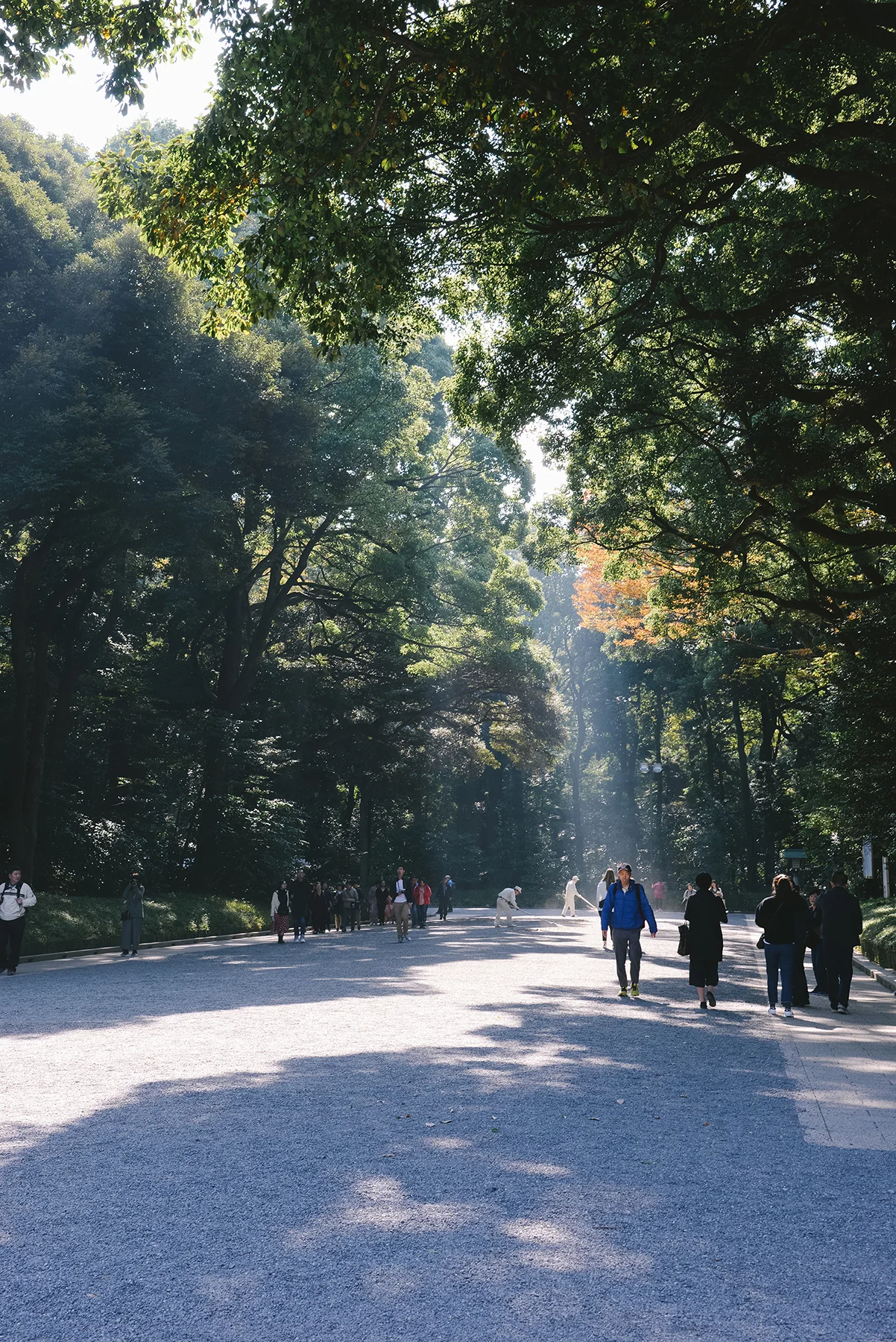 Yoyogi Park