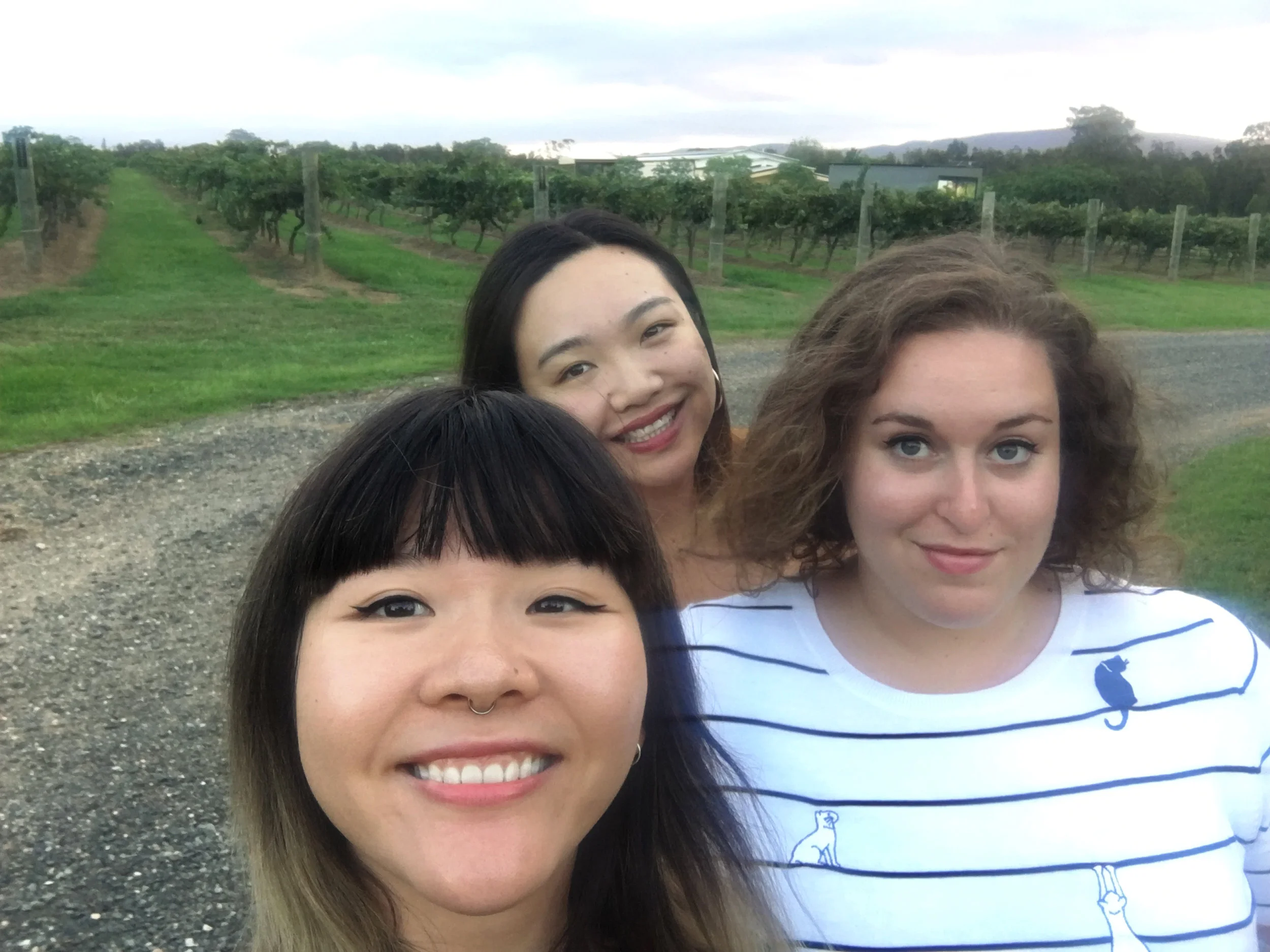 Obligatory vineyard shot (haha we missed a turn and saw a vineyard so we hopped out to take this photo and scurried back into the car half a minute later)