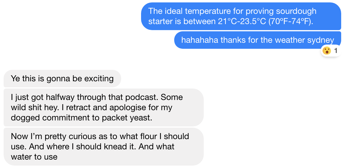 Dough Dudes™/Sourdough Squad™, we haven't decided on our name. 