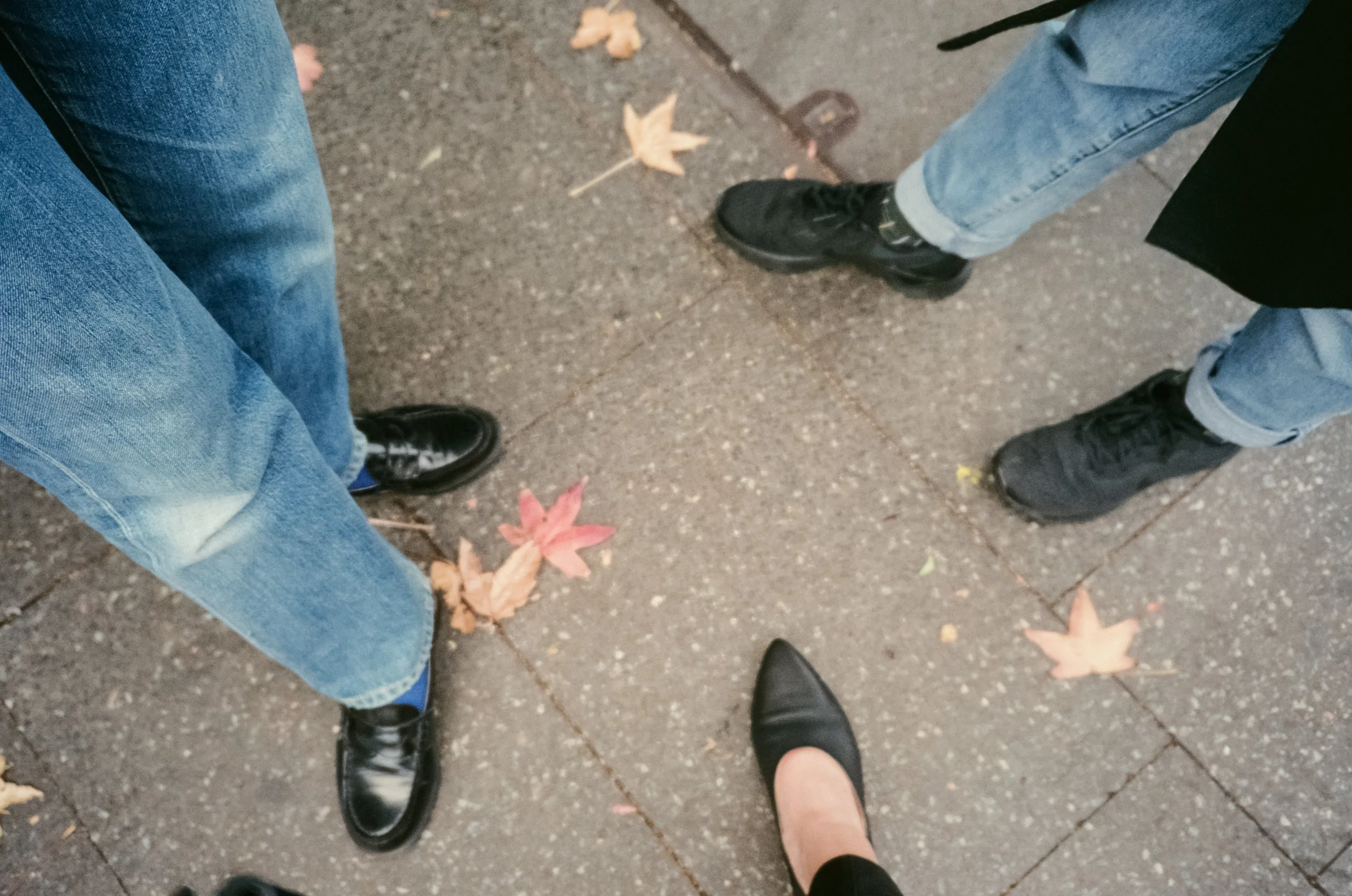 Black shoe club