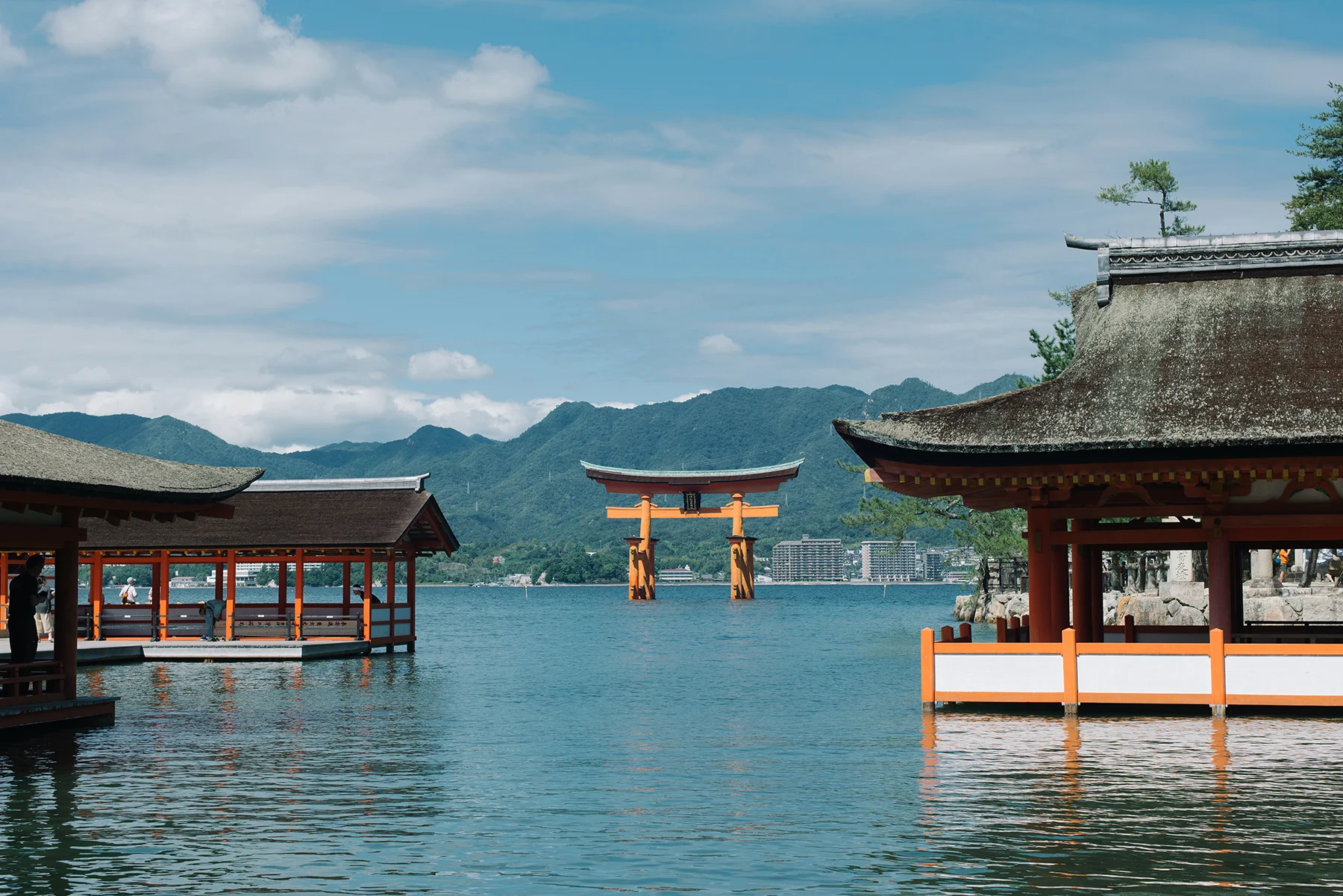 Itsukushima Shrine’s torii gate in MIyajima