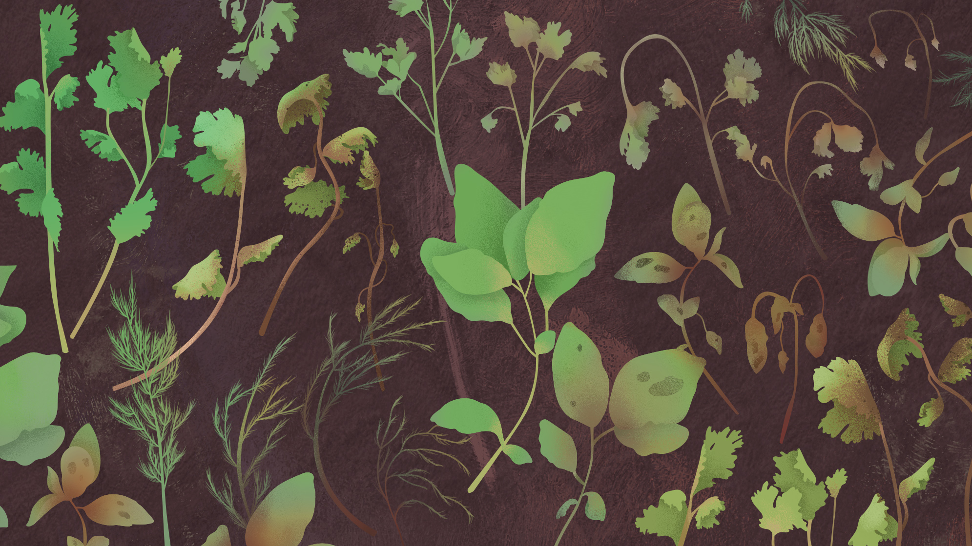 Illustration for The Takeout article, “What’s the best way to keep herbs fresh? ”