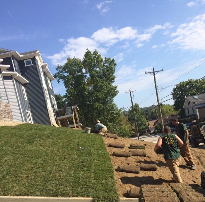 Turf Installation.jpg