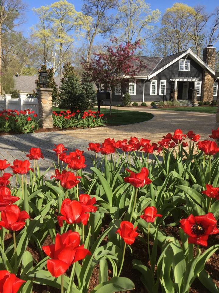 Home slideshow, spring cleanup thumbnail, google + background, and Testimonial.jpg