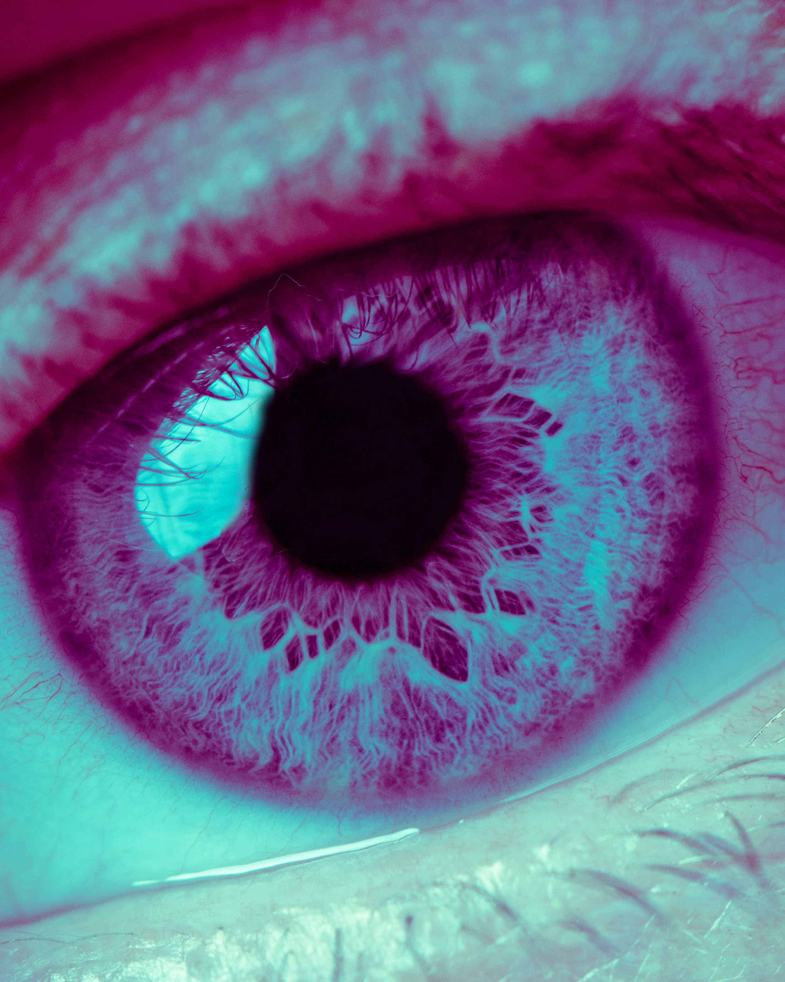eye25.jpg