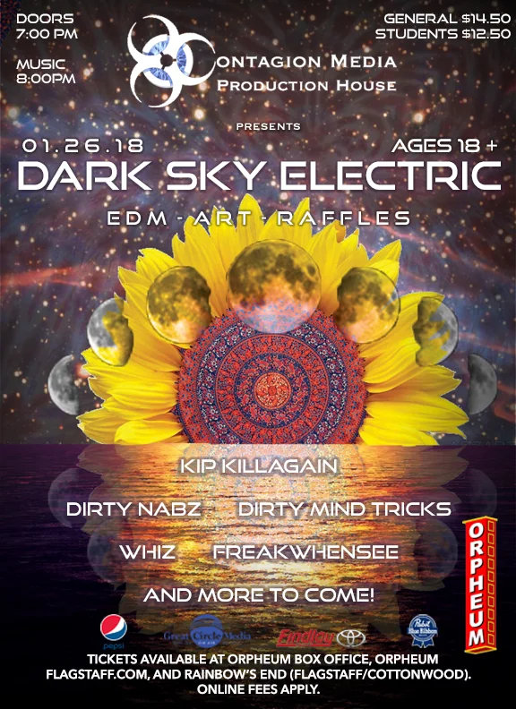DSE FLYER 13.jpg
