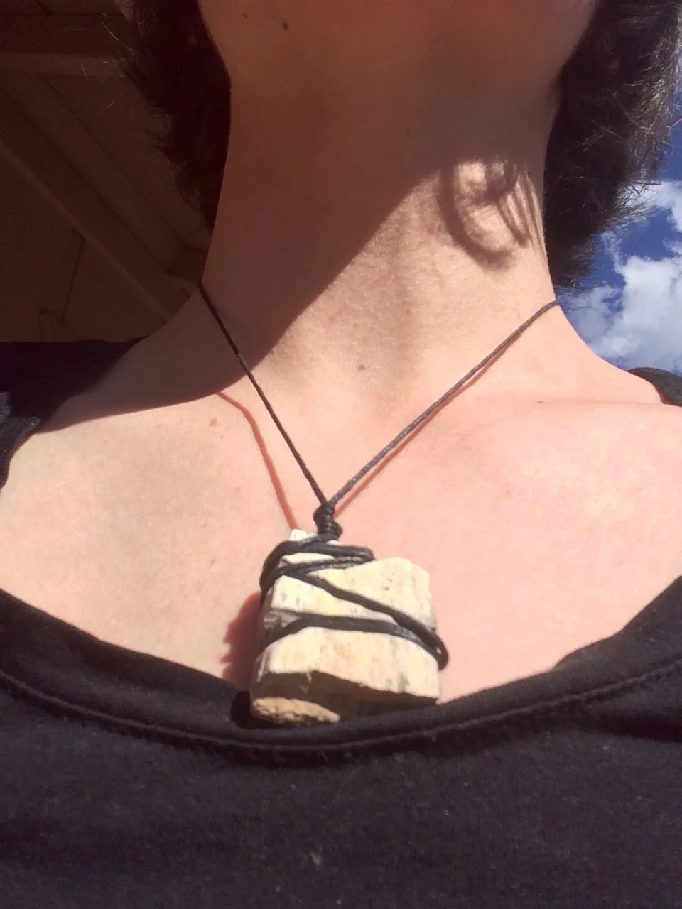 Hand Carved Petrified Wood collected in Arch Cape, OR