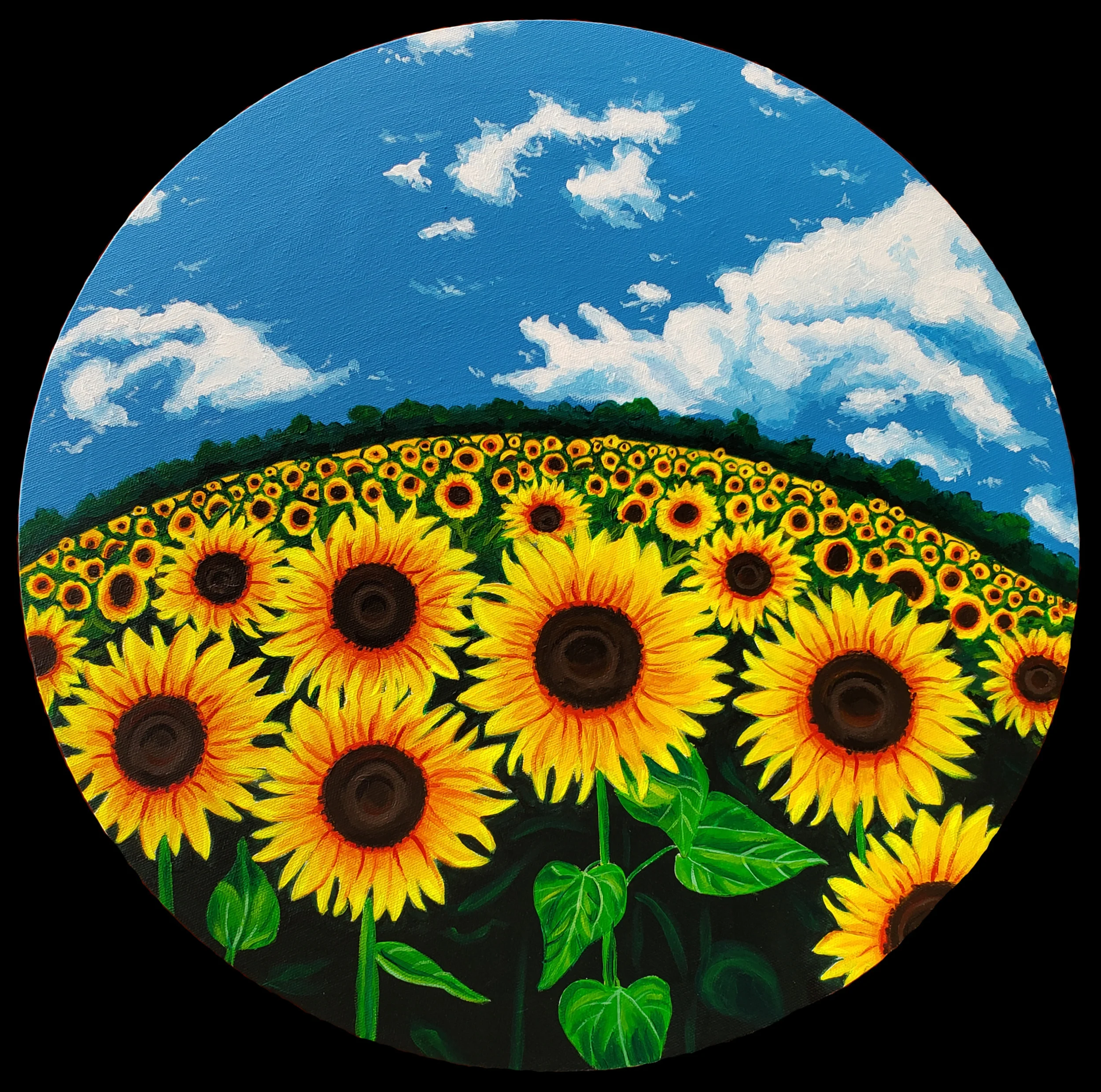 sunflower.jpg