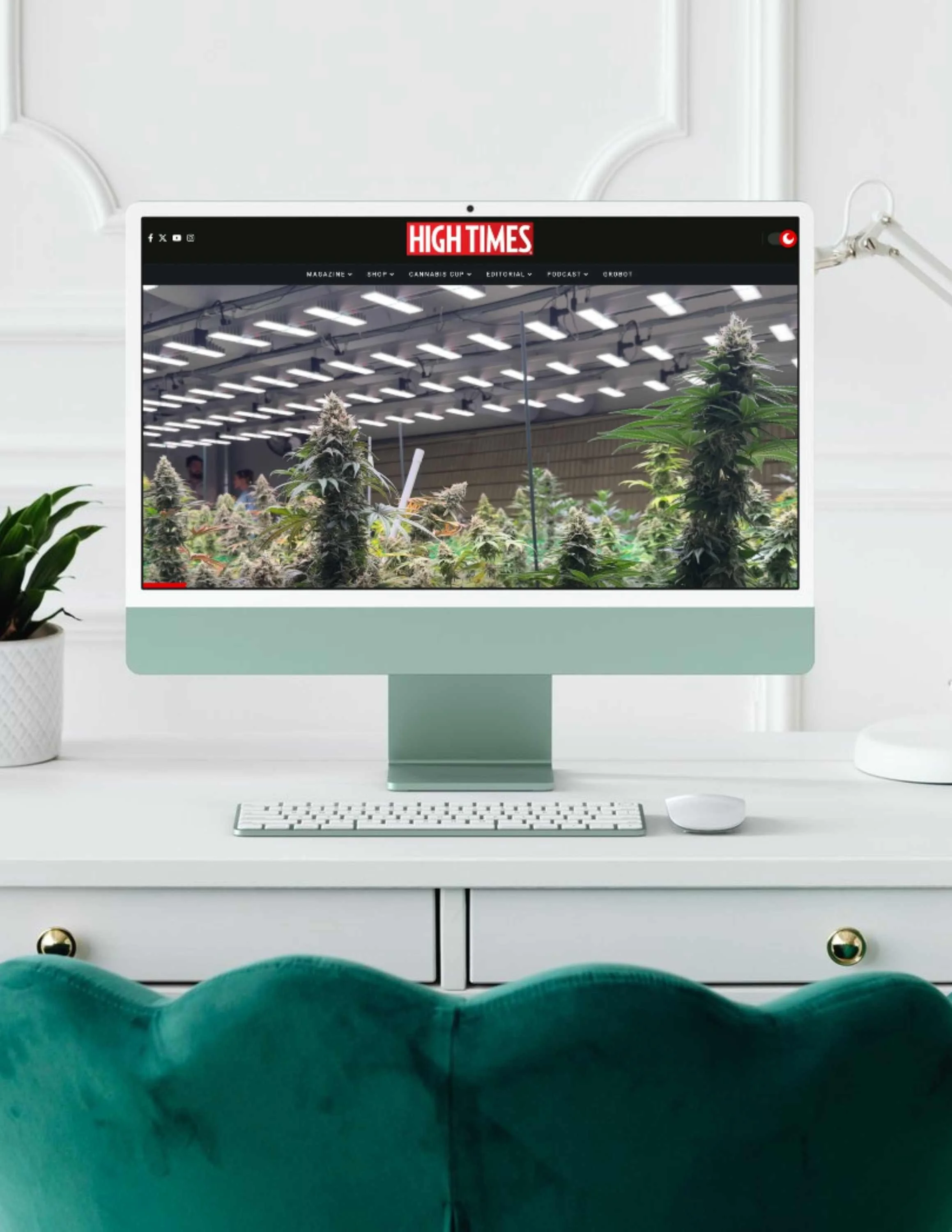 High Times Website.jpg