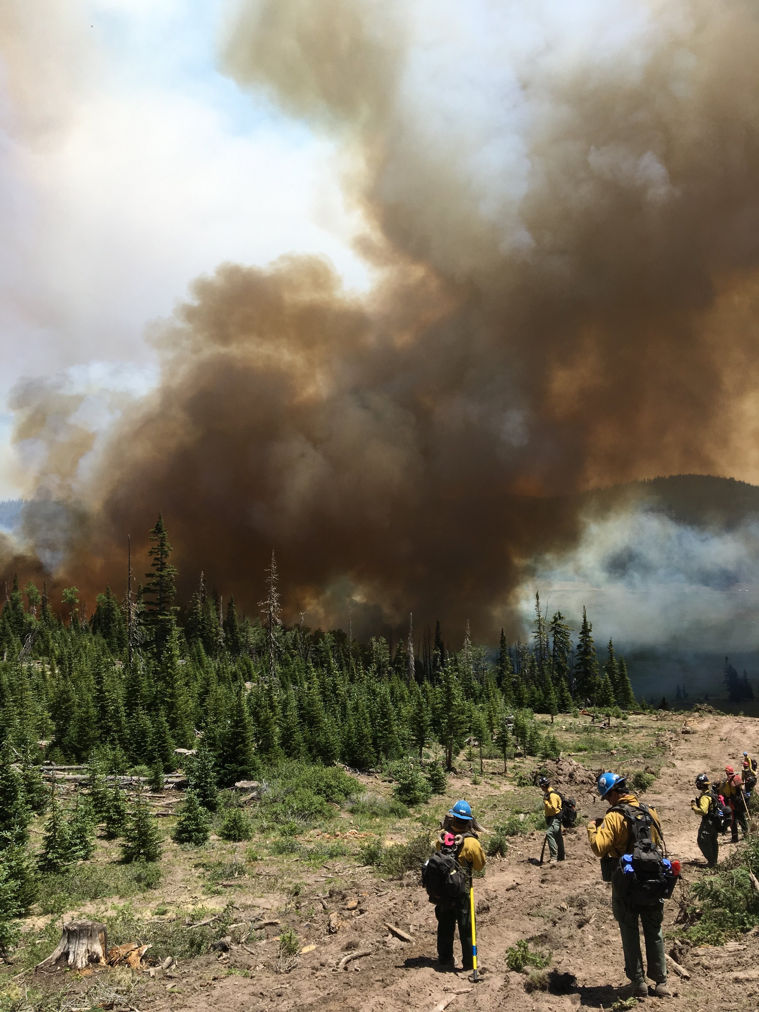 Preparing for a burnout, Brianhead Fire